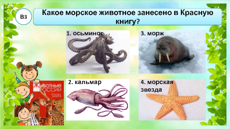 Какое морское животное занесено в красную книгу