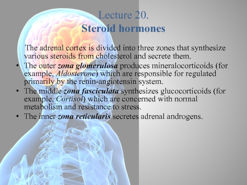Lecture 20. Steroid hormones