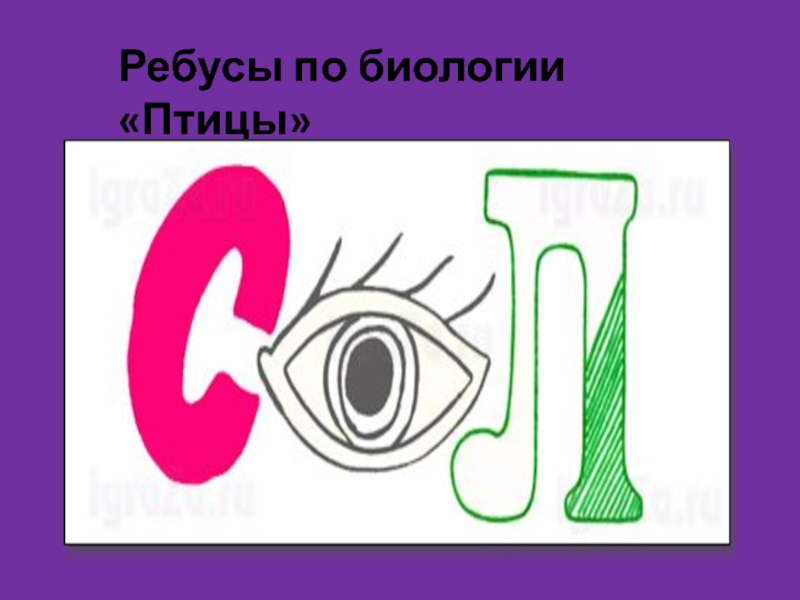 Ребусы по биологии. Биологические ребусы. Ребусы на тему биология. Ребусы по биологии 5.