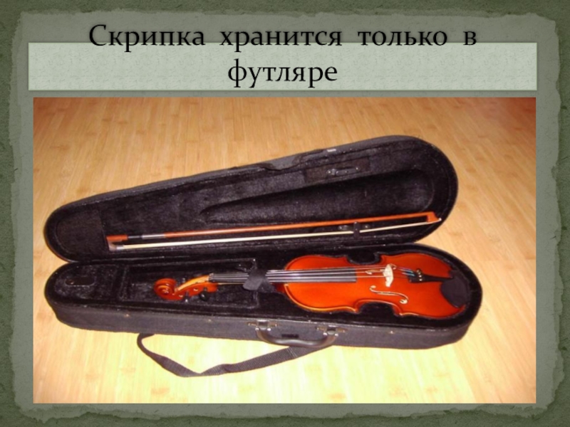 Происхождение скрипки. История создания скрипки. Футляр для скрипки. Родина скрипки. Скрипичный футляр.