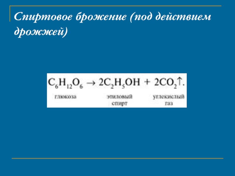 Брожение глюкозы продукт реакции. Спиртовое брожение Глюкозы. Спиртовое брожение дрожжей. Суммарное уравнение спиртового брожения. Спиртовое брожение реакция.