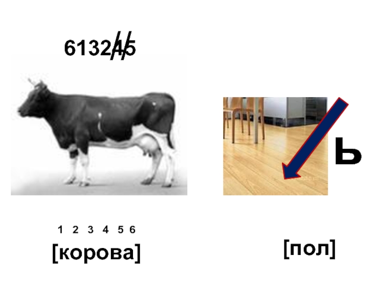 613245//ь 1  2  3  4  5 6[корова][пол]