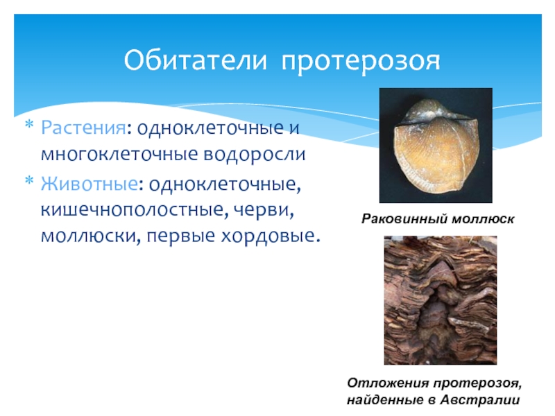 Протерозой презентация 9 класс