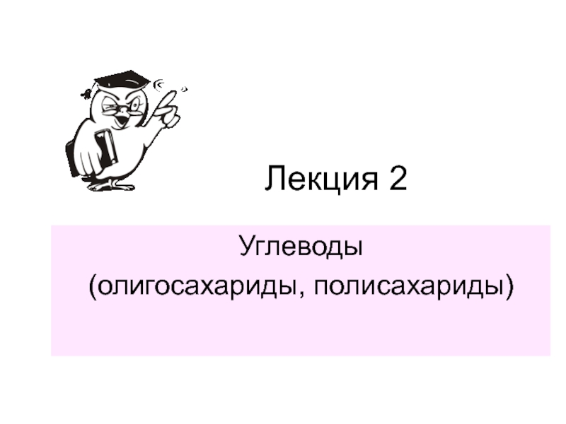 Лекция 2