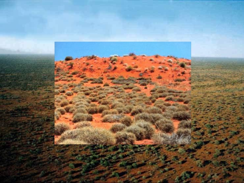 Рельеф и природные зоны австралии