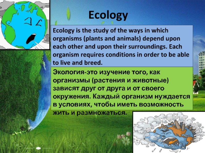 Презентация на английском языке про экологию