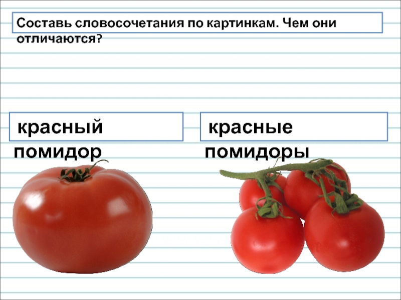 Какое окончание в слове помидор. Помидор словосочетание. Помидоры прилагательные. Помидор словосочетание с прилагательным. Словосочетания со словом томат.