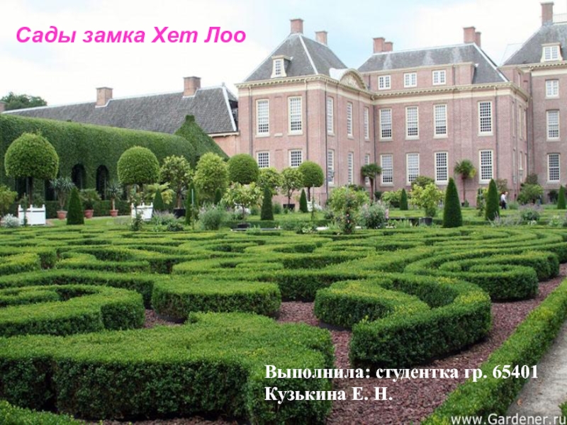 Сады замка Хет Лоо
Выполнила: студентка гр. 65401
Кузькина Е. Н