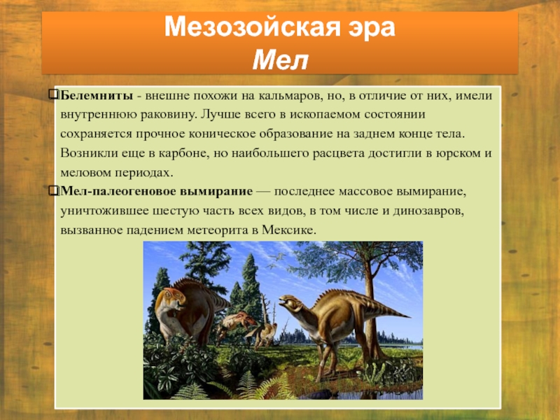 Продолжительность мезозойской эры. Растительный мир мезозойской эры таблица. Мезозойская Эра периоды таблица кратко. Мезозойская Эра периоды Продолжительность. Характеристика эры мезозой.