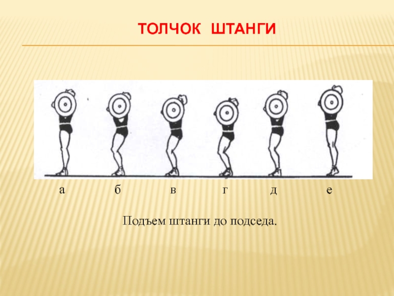 Толчок. Рывок и толчок штанги. Фазы рывка. Рывок штанги фазы. Толчок штанги подсед.