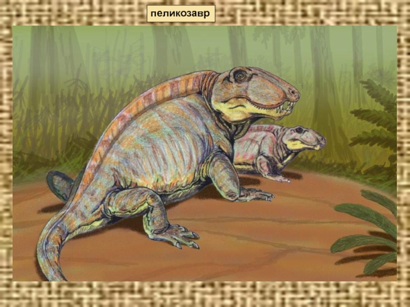 пеликозавр