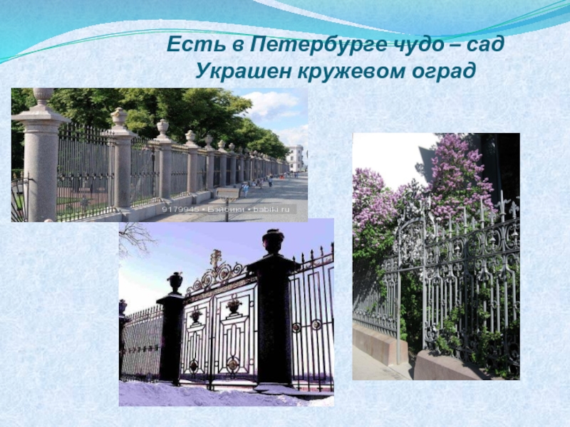 Есть в Петербурге чудо – сад  Украшен кружевом оград