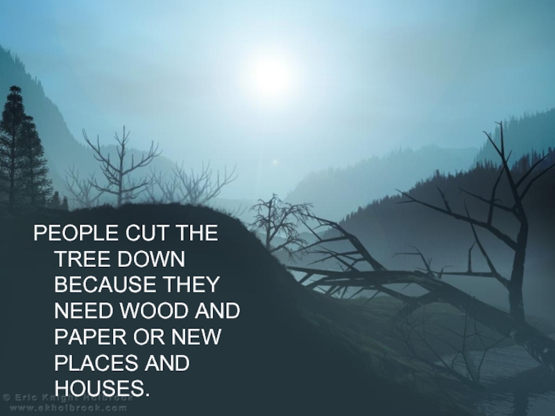 PEOPLE CUT THE TREE DOWN BECAUSE THEY NEED WOOD AND PAPER OR NEW PLACES AND HOUSES.