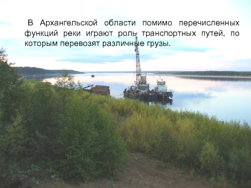 В Архангельской области помимо перечисленных функций реки играют роль транспортных путей, по которым перевозят различные грузы.