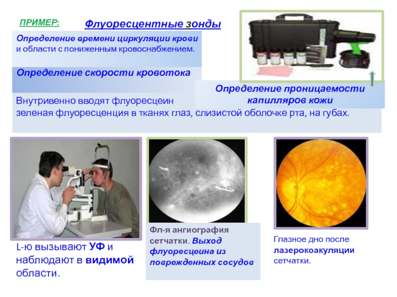 Через несколько секунд. Флуоресцентные зонды. Метод флуоресцентных зондов. Флуоресцентные зонды и метки. Основные типы флуоресцентных зондов..