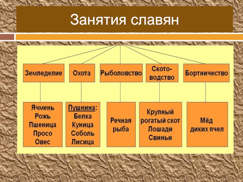 Занятия славян. Занятия восточных славян. Главные занятия славян. Занятия восточных Славя.