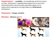 Изменчивость – variability, это всеобщее свойство живых систем, связанное с