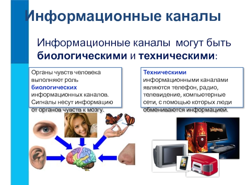 Информационные передачи. Информационный канал. Информационные каналы передачи информации. Биологические информационные каналы. Виды информационных каналов.