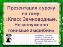 Класс Земноводные. Незаслуженно гонимые амфибии