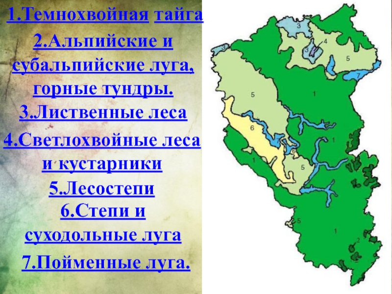 Карта тайги кемеровской области с улицами