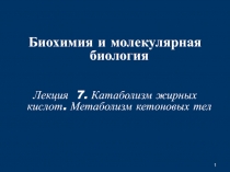 1
Б иохимия и молекулярная биология
Лекция 7. Катаболизм жирных кислот