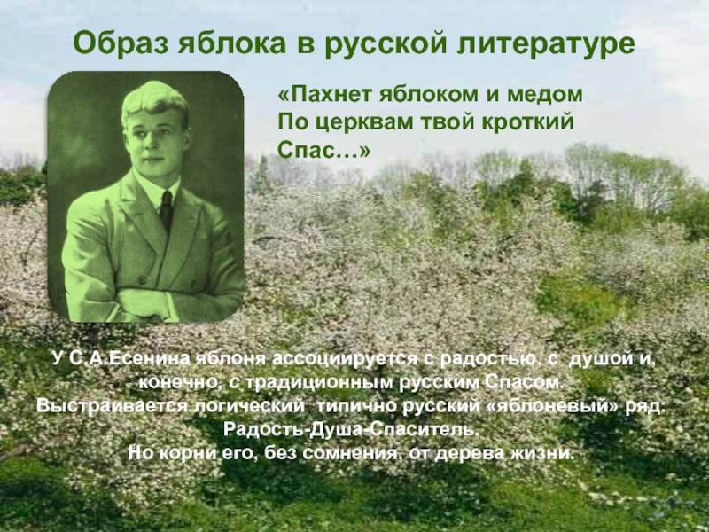 Роль яблока в русских народных сказках проект 4 класс