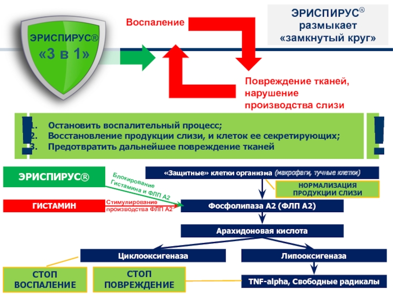 Нарушение тканей. Порочный круг бронхообструктивного синдрома. В «порочный круг» формирования бронхообструктивного синдрома. Как разомкнуть замкнутый круг с больницами.