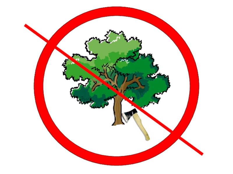 Нельзя рубить деревья. Запрещающие экологические знаки. Знак не ломать ветки. Знаки защиты природы. Природоохранные знаки для детей.