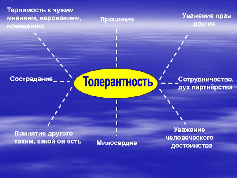 Терпимость к чужому мнению называется