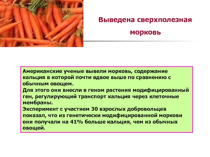 При расшифровке генома моркови было установлено 20