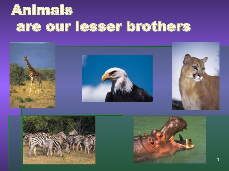 Animals are our lesser brothers