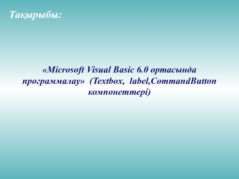 Презентация Microsoft Visual Basic