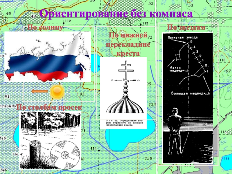 Ориентирование без компаса. День ориентирования без компаса. День ориентирования без компаса 6 ноября. День ориентации без компаса.