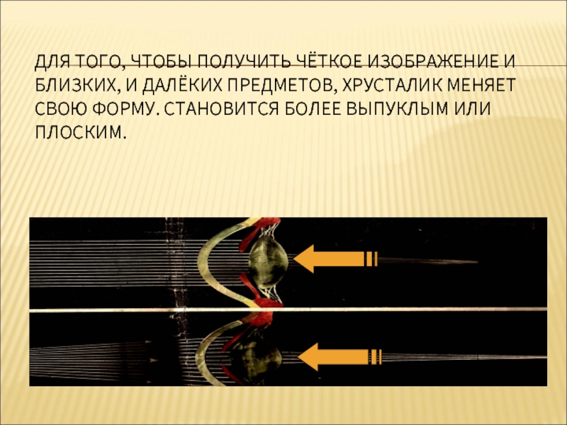 Далекий предмет. Получили четкое изображение. Получение четкого изображения.