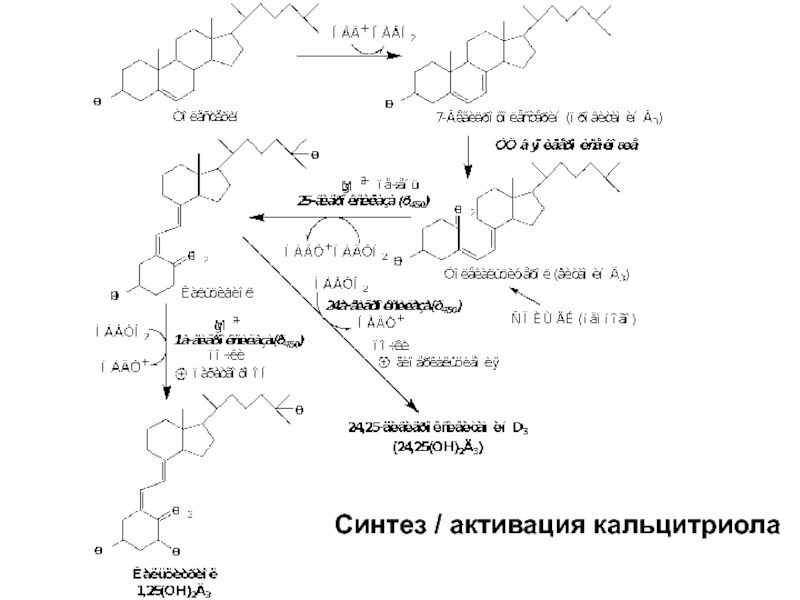 Карта линии активация