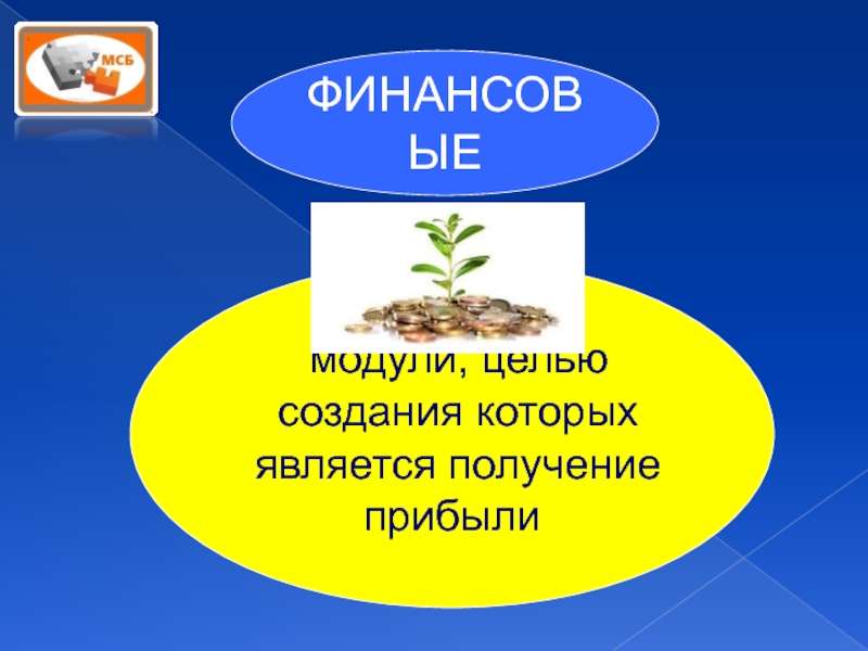 ФИНАНСОВЫЕ модули, целью создания которых является получение прибыли