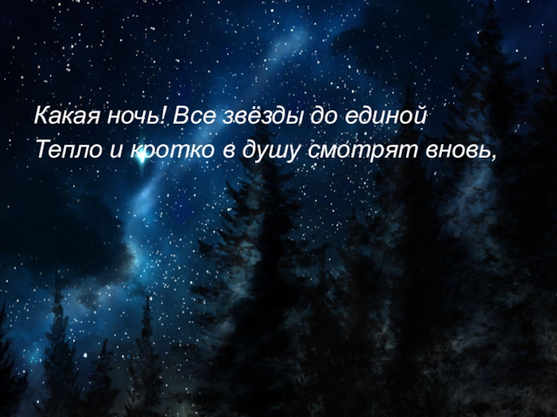 Стихотворение какая ночь. Какая ночь все звезды до Единой. Какая ночь! Все звезды... Тепло и кротко смотрят в душу вновь…. Какая ночь. Какая ночь все звезды до Единой тепло и кротко.