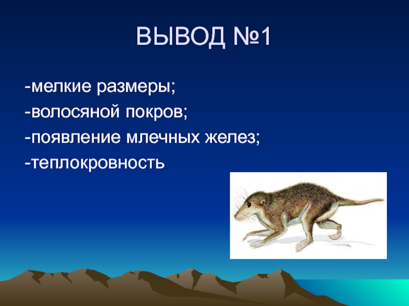 Появление теплокровности у птиц. Происхождение млекопитающих. Млечные железы млекопитающих. Происхождение млекопитающих 7 класс биология. Происхождение млекопитающих кратко.