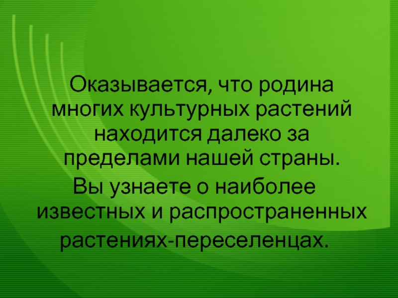 Растение пришедшее к нам из дальних стран. Культурное растение пришедшее к нам из дальних стран. Культурное настение пришедшедшее из дальних Стоан. Пример культурного растения пришедшего к нам из дальних стран. Культурное растение пришедшие из дальних ССТРАН.