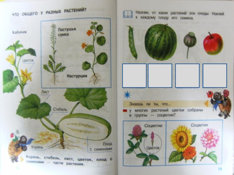 Культура окружающий мир 1 класс презентация перспектива