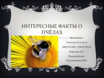 Интересные исторические факты о пчелах