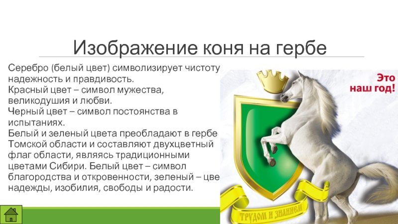 Что символизирует лошадь. Герб Томской области описание. Что символизирует лошадь на гербе. Томская область герб и флаг.