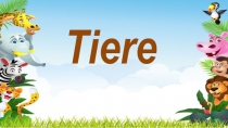 Tiere