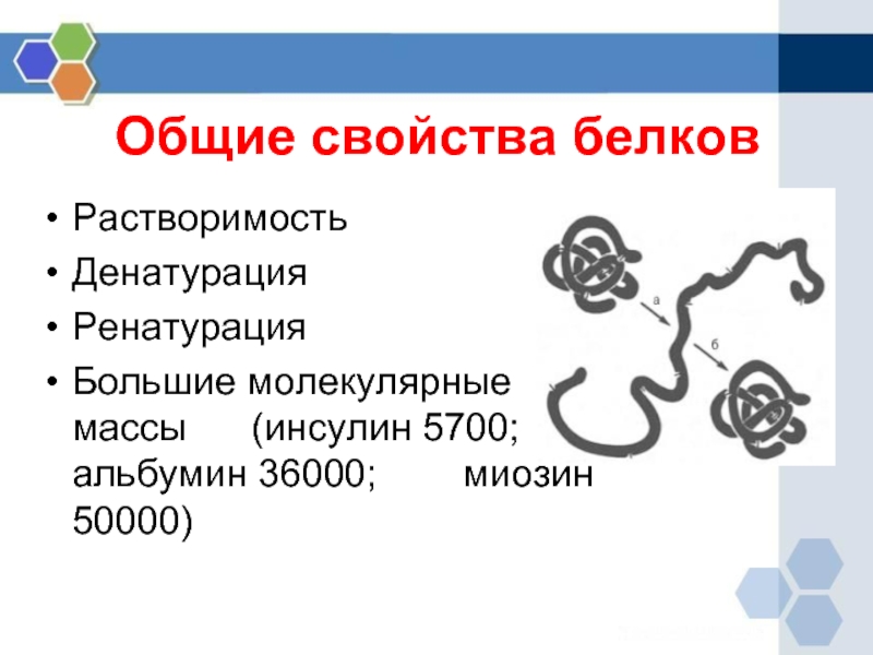 Презентация на тему белки по химии 9 класс