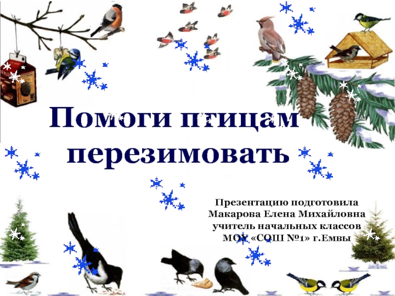 Презентация Помоги птицам перезимовать