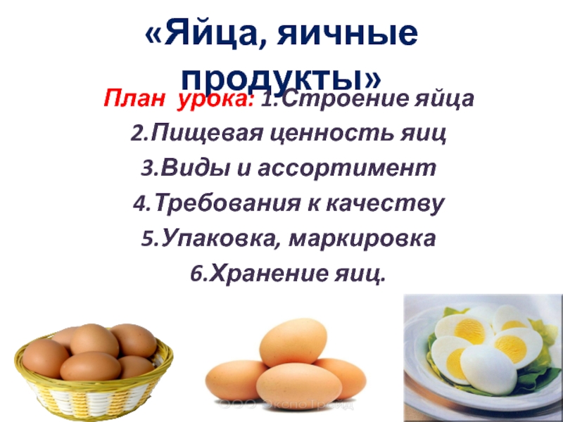 Презентация Яйца, яичные продукты
