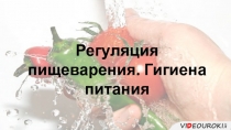 Регуляция пищеварения. Гигиена питания