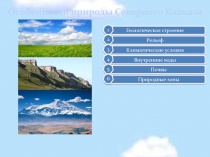 Особенности природы Северного Кавказа
Рельеф
Геологическое