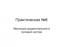 Практическая №6