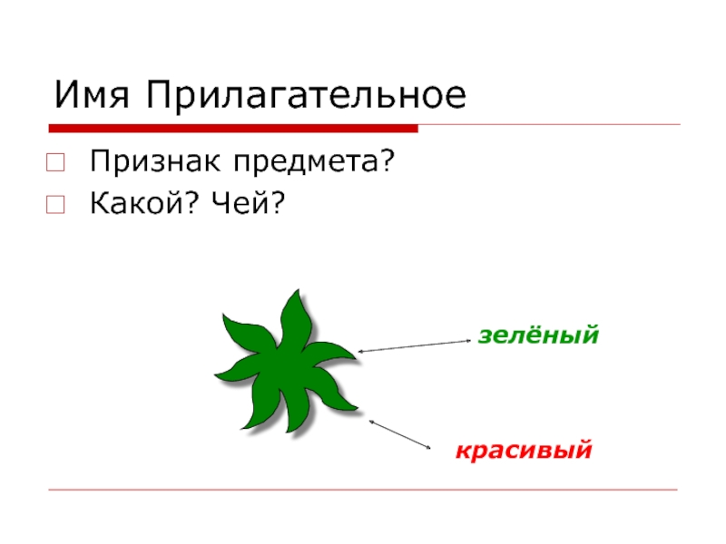 Презентация морфология 9 класс